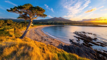 Obraz premium Sunset over coastal bay, lone tree, mountain backdrop; travel brochure