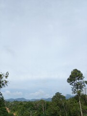 Obraz premium clouds and trees