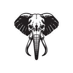 African elephant skull Silhouette - African elephant skull Vector - African elephant skull Illustration.