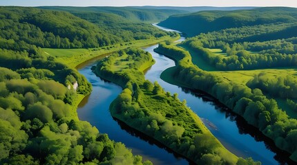 A meandering river flows gracefully through verdant valleys and thick forests, reflecting the blue sky above, creating a picturesque and tranquil scene of unspoiled natural beauty and biodiversity

