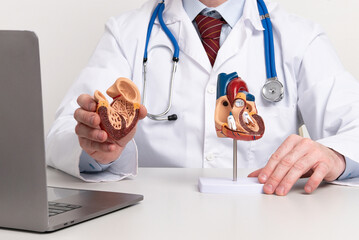 A cardiologist uses a heart model to demonstrate the anatomy, function, and treatment of...