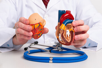 A cardiologist uses a heart model to demonstrate the anatomy, function, and treatment of...