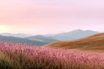 Obraz premium Serene Lavender Field Under Soft Sunset Light with Rolling Hills and Mountains in the Background