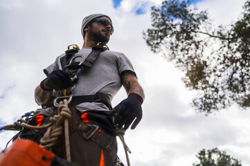 Rope access technician preparing for tree pruning with safety harness and equipment