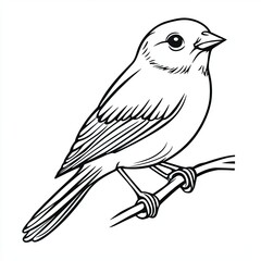 Fototapeta premium Simple Bird Outline Drawing Easy Coloring Page for Kids 