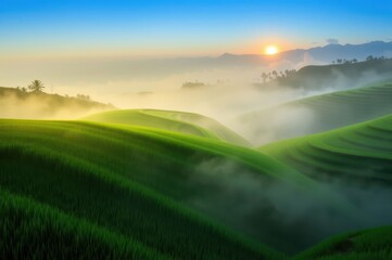 Fototapeta premium Sunrise Over Misty Rice Terraces