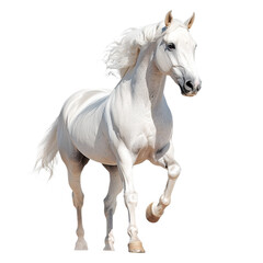 Majestic white horse prancing gracefully in a hyper-realistic depiction capturing its elegance and strength