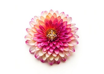 Minimalist Flower Cross: Delicate Religious Symbol Stock Photo