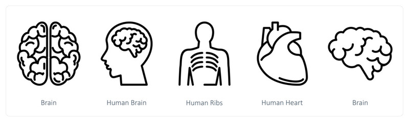 A set of 5 medical icons as brain, human brain, human ribs