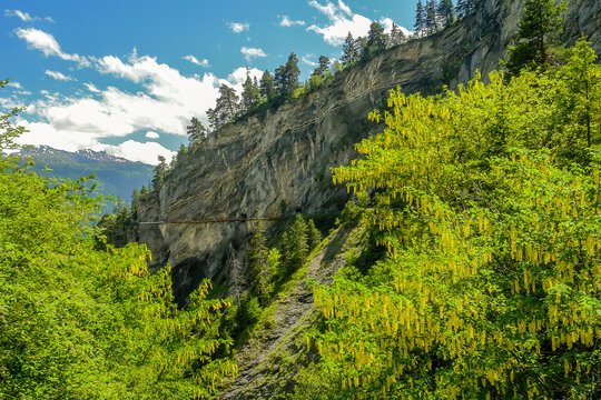 vue du bisse d'Ayent au printemps.