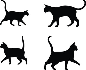 Black silhouettes of cats