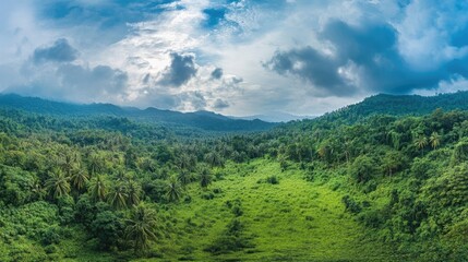 Obraz premium Tropical forest panorama with themes of ecology and sustainability