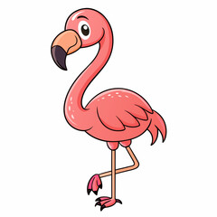 pink flamingo vector illustration