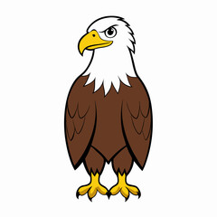 american bald eagle