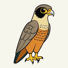 vector illustration of a falcon 