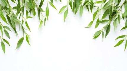 Naklejka premium Green leaves border on white background; nature, spring, design