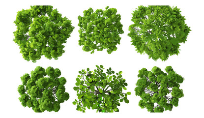 Naklejka premium Vector illustration top view of big green trees shape cut out transparent background, nature design, eco-friendly, forest illustration, tree silhouette, landscape vector art