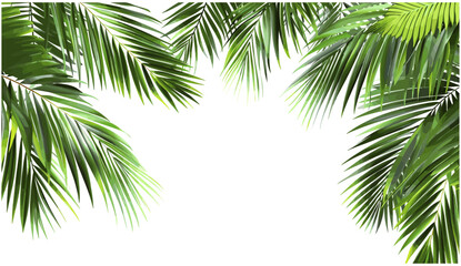 Fototapeta premium Palm leaves border vector illustration, transparent background, realistic 3d rendering, PNG, tropical plant, nature frame, summer leaves, exotic decoration, nature borders, tropical design