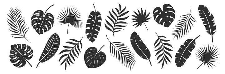 Obraz premium Palm leaf set isolated on white background. Tropical black leaves silhouette: palm, banana, coconut. Vector illustration