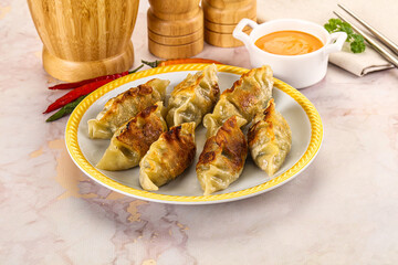 Japanese fried Gyoza stuffed dumplings