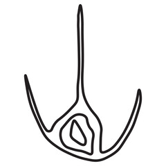 ceratium, ceratium  dinoflagellates line icon
