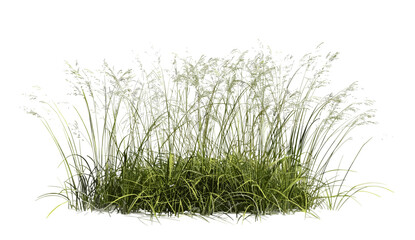 Vector illustration prairie grass field, 3d rendering cut out, green landscape, nature background, outdoor scenery, field view, summer field, green grass, natural environment