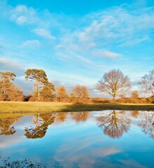 Reflections of Trees in water with blue sky, tranquil landscape 