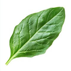 Obraz premium Fresh spinach leaf isolated on white background, healthy food ingredient (1)