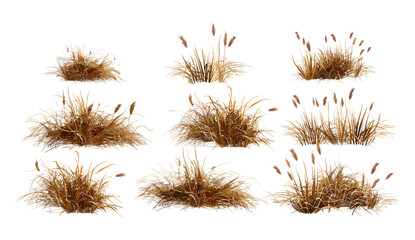 Dried grass cutout, vector illustration, 3D render PNG, transparent backgrounds, meadows set, savanna field, prairie scene, wild nature, terrain elements, countryside view, seasonal dry plants © aura studio