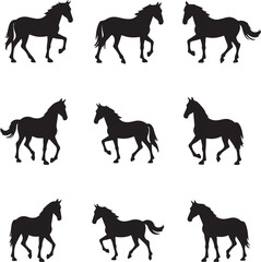 Big set of horses silhouettes, vector illustration and Isolated on white Background