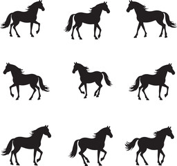 Big set of horses silhouettes, vector illustration and Isolated on white Background