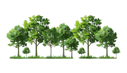 Vector illustration jungle trees cutout on transparent backgrounds png, tropical forest, green foliage, nature clipart, exotic leaves, rainforest elements, eco-friendly, isolated tree graphics
