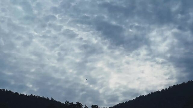 A flock of birds flies against a cloudy sky. Slow motion video.