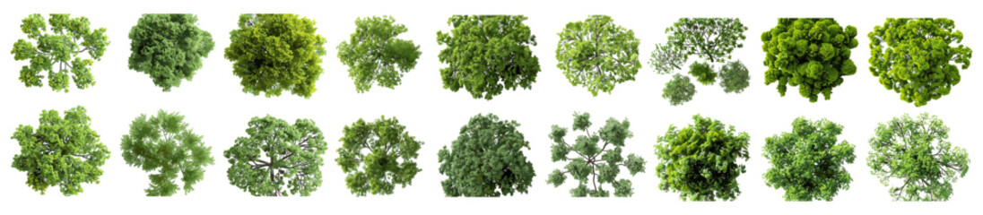 Fototapeta premium Trees set cutout, vector illustration, png file, landscaping design, nature elements, top view, environmental art, tree silhouettes, green forest, landscape elements