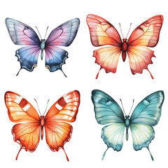 set of colorful butterflies isolated on transparent white background, clipping path