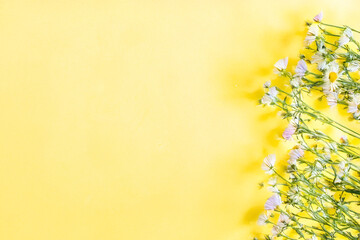 Chamomile flat lay on yellow background. Happy Mother's day greeting card template. Copy space