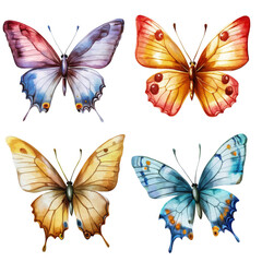Obraz premium set of colorful butterflies isolated on transparent white background, clipping path