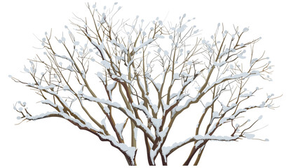 Vector illustration of dried tree branches with snow, transparent backgrounds, winter, isolated, cold, frost, snowfall, nature, frozen, white, icy, Christmas, season, template, design