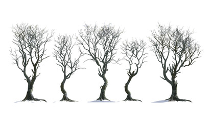Obraz premium Leafless trees, vector illustration, dry tree, standing, transparent backgrounds, silhouette, nature, isolated, winter season, black tree, artistic, design, background, PNG, clipart, barren