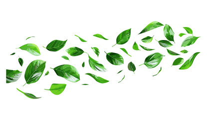 Vector illustration of green leaves, flying, realistic flow, isolated, dancing leaves, spring motion, leaf design, wind effect, environmental theme, nature, green foliage, natural movement