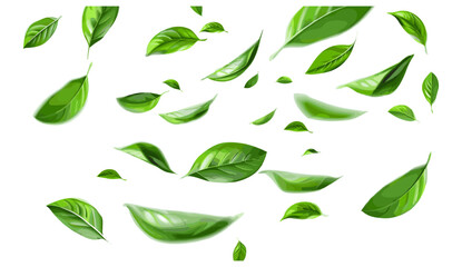 Naklejka premium Vector illustration of green leaves, floating freshness, cutout leaves on transparent background, nature design, clean leaves, eco-friendly concept, tropical leaves, spring foliage
