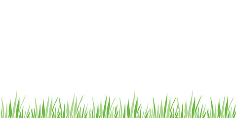 Vector green grass isolated on white background. Herbal Border, horizontal bottom edging, lawn panoramic landscape. Template, design element, illustration