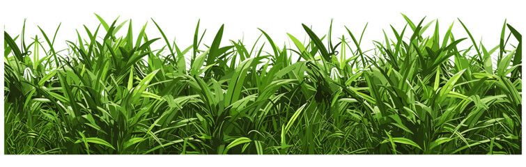 Obraz premium Vector illustration grass field row lush cut out backgrounds, vibrant nature, outdoor environment, fresh meadow, green landscape, summer foliage, nature background, green field
