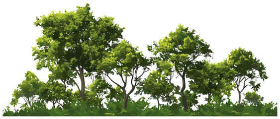 Jungle landscape, vector 3D illustration, tropical greenery, lush trees, transparent background, wild nature, vibrant jungle, exotic plants, 3D jungle scene, foliage