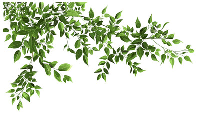 Greenery leaves branch vector illustration, transparent background, relaxing flow, cutout design, nature, foliage, botanical, minimalism, peaceful, modern, natural elements, harmony, © aura studio