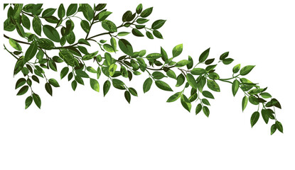 Greenery leaves branch vector, relaxing flow, cutout, transparent backgrounds, nature, foliage, natural beauty, calm, serene, fresh design, botanical, organic elements, tranquility © aura studio