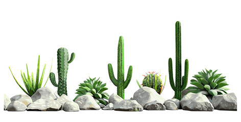 Vector illustration, cactus plants row on rocks foreground, desert landscape, green succulents, nature background, arid terrain, botanical drawing, isolated, dry land, western theme