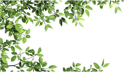 Obraz premium Vector isolate greenery, tree branch leafs png, natural leaves, transparent background, eco design, forest plant, green foliage, botanical background, fresh tree leaves