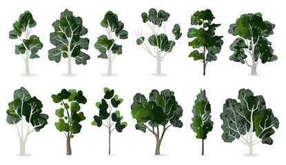 jungle trees, large wood shapes, cutout collection, transparent backgrounds, PNG file, tropical rainforest, green foliage, nature elements, tree silhouette, exotic plants
