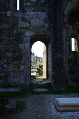 Obraz premium Stone archway leading to a peaceful cemetery view with tombstones and flowers, capturing a solemn and historic ambiance 